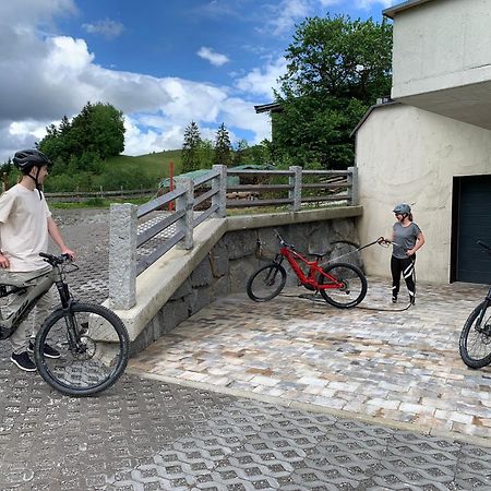 Appartement Beim Rohrer à Kirchberg en Tyrol Extérieur photo