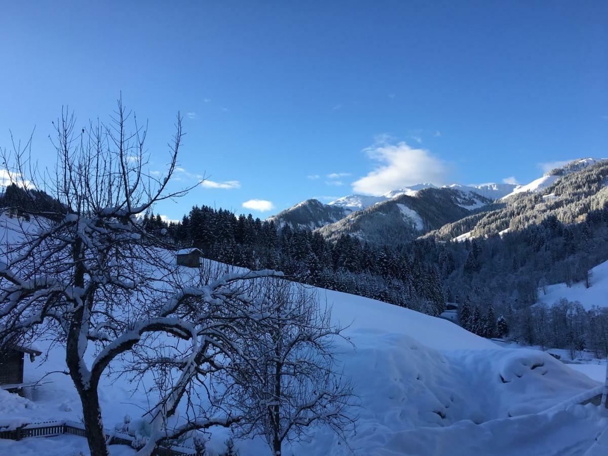 Appartement Beim Rohrer à Kirchberg en Tyrol Extérieur photo