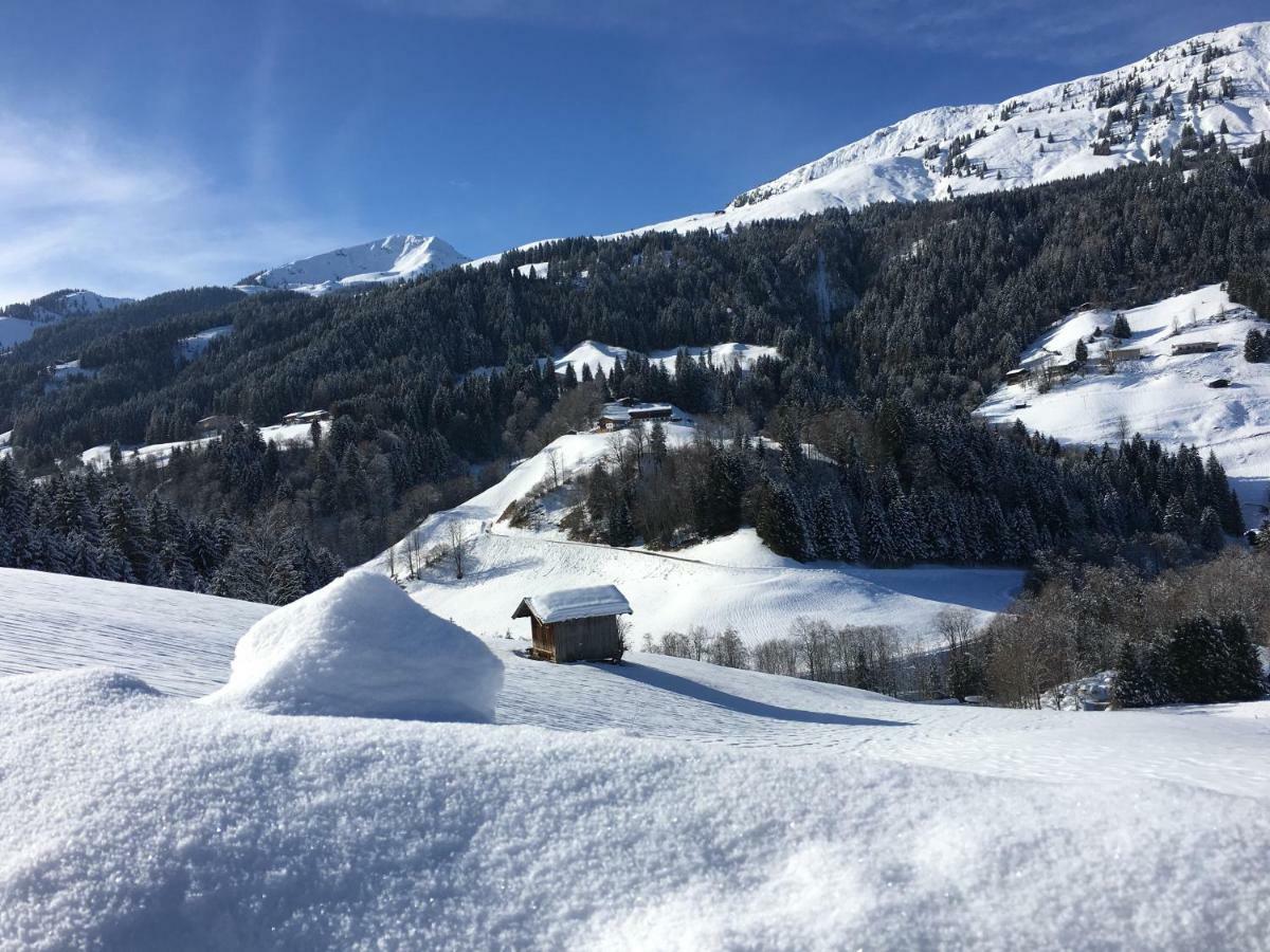 Appartement Beim Rohrer à Kirchberg en Tyrol Extérieur photo