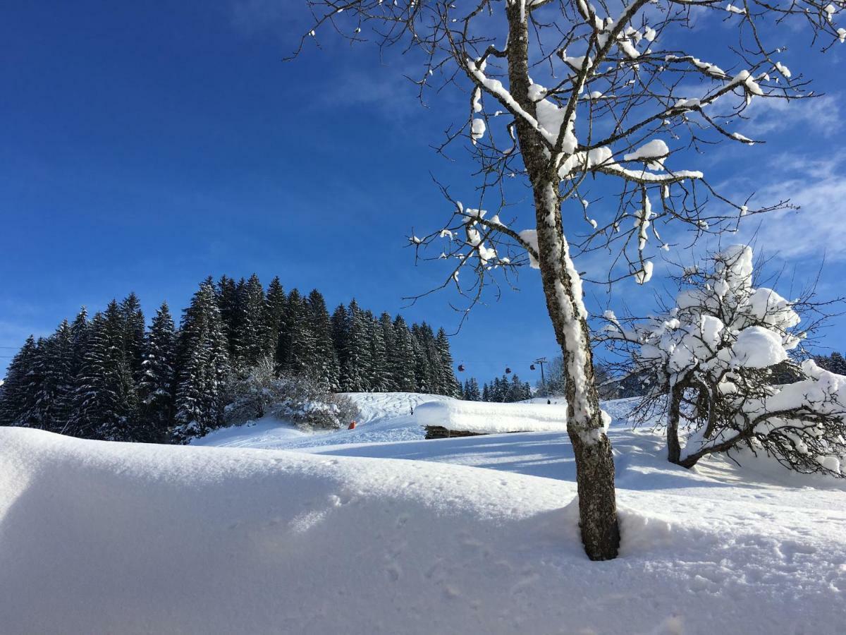 Appartement Beim Rohrer à Kirchberg en Tyrol Extérieur photo