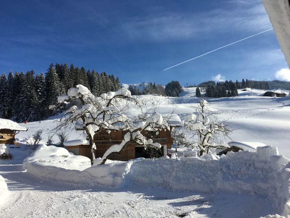 Appartement Beim Rohrer à Kirchberg en Tyrol Extérieur photo