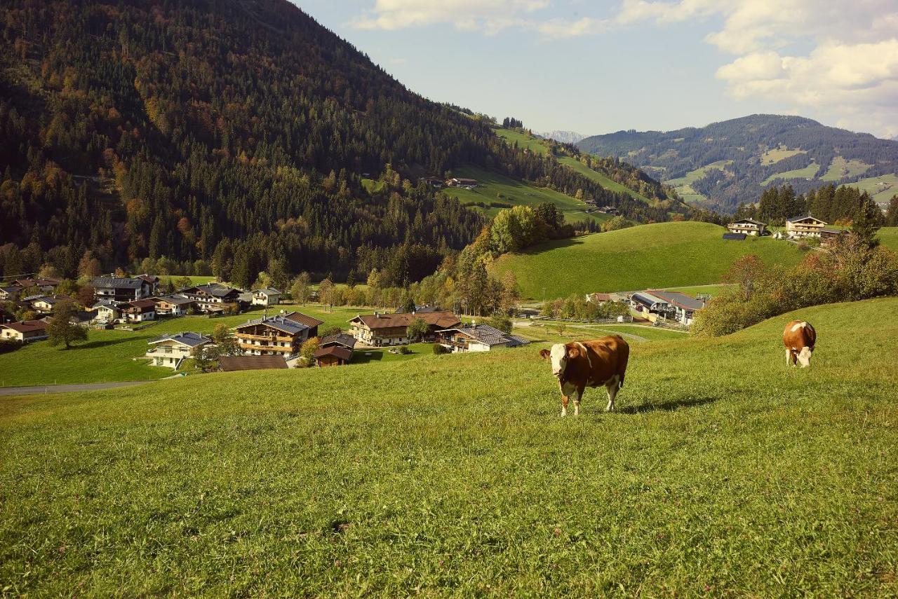 Appartement Beim Rohrer à Kirchberg en Tyrol Extérieur photo
