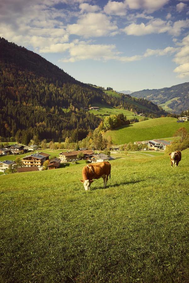 Appartement Beim Rohrer à Kirchberg en Tyrol Extérieur photo